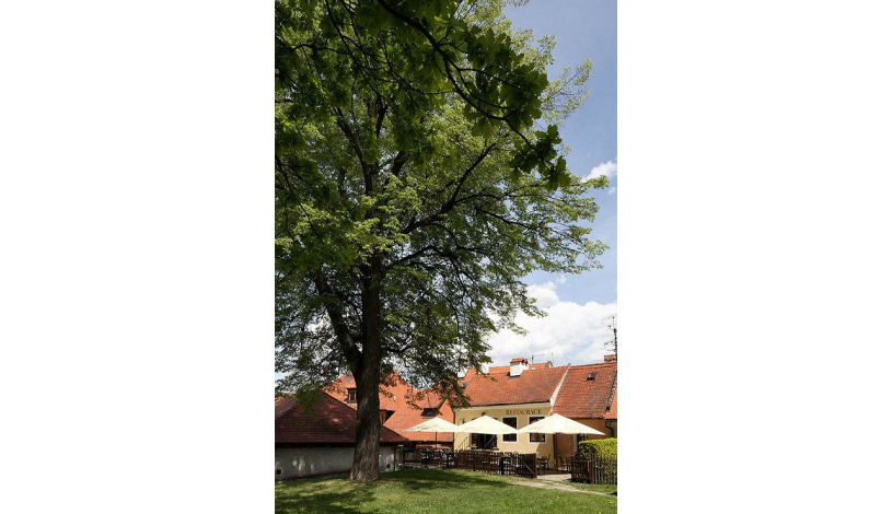 Pension Danny Český Krumlov